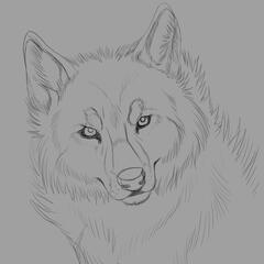 Headshot sketch